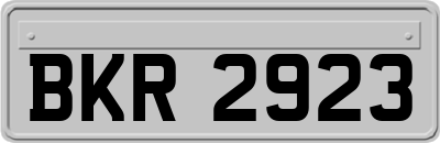 BKR2923