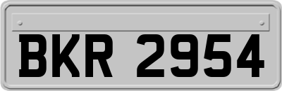 BKR2954