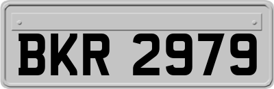 BKR2979