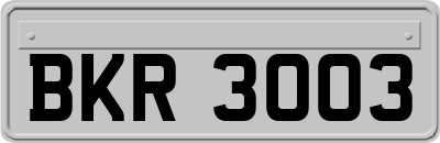 BKR3003