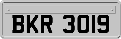 BKR3019