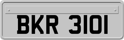 BKR3101