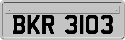 BKR3103