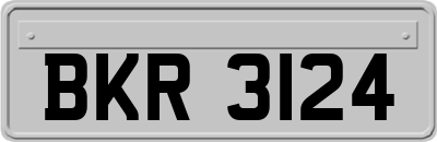 BKR3124