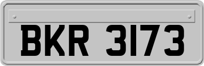 BKR3173