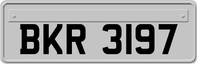 BKR3197