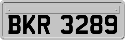 BKR3289