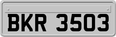 BKR3503