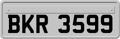 BKR3599