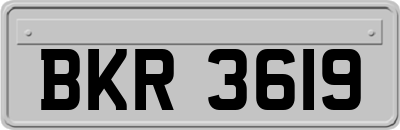 BKR3619