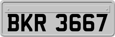 BKR3667