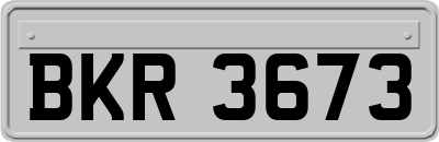 BKR3673