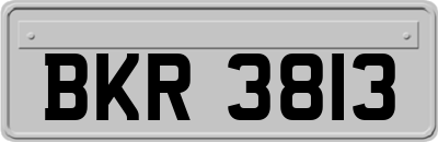 BKR3813