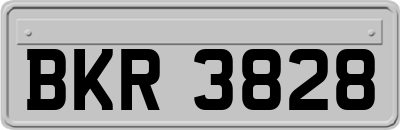 BKR3828