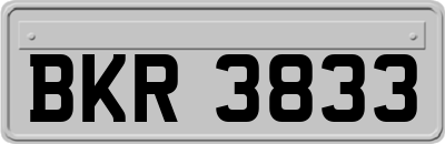 BKR3833