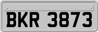 BKR3873