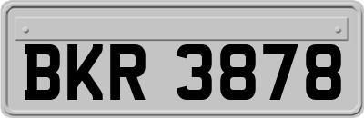 BKR3878