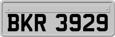 BKR3929