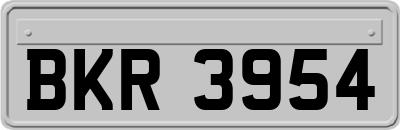 BKR3954