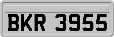 BKR3955