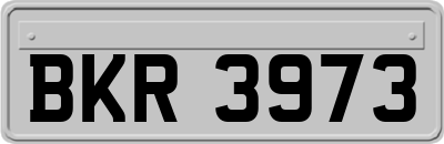 BKR3973