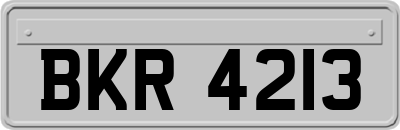 BKR4213