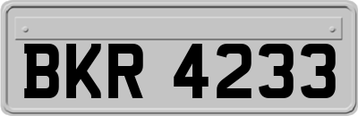 BKR4233