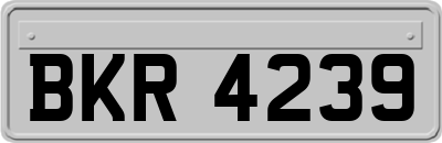 BKR4239