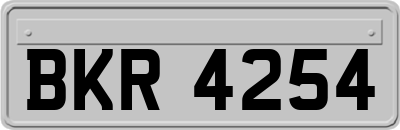 BKR4254