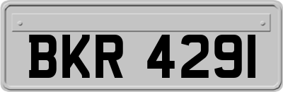 BKR4291