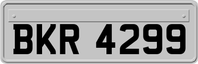 BKR4299