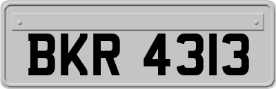 BKR4313