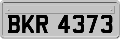 BKR4373