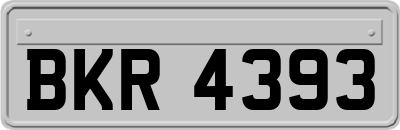 BKR4393