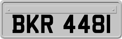 BKR4481