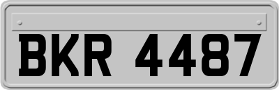 BKR4487