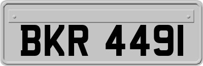 BKR4491