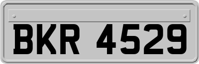 BKR4529