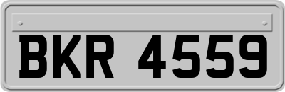 BKR4559