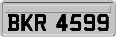 BKR4599