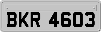 BKR4603