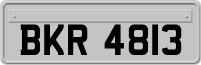 BKR4813