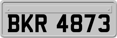 BKR4873