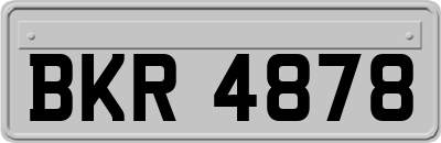 BKR4878