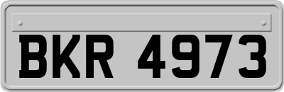 BKR4973