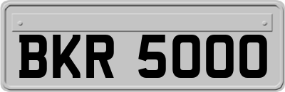 BKR5000