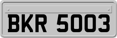 BKR5003