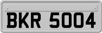 BKR5004