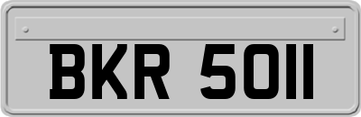 BKR5011