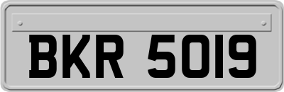 BKR5019